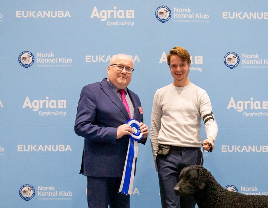 NKK Sandefjord 2021 - Skaringen's First Of All - Winner of group 8 under judge Arne Foss