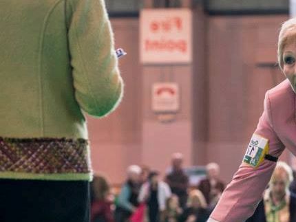 Sire: GB Sh CH  Elkysar All That Jazz